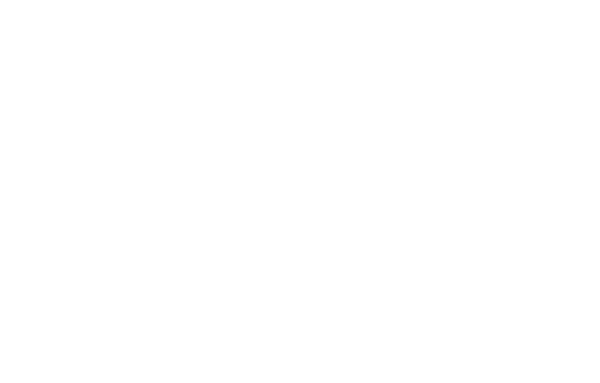 SOLO Swiss